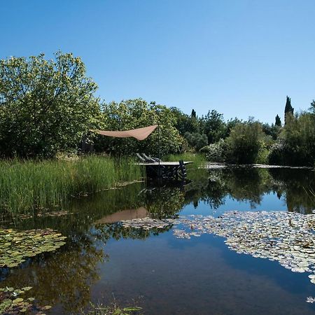 טאווירה Altanure Casa Terra - Ecological Holiday & Retreats Villa מראה חיצוני תמונה